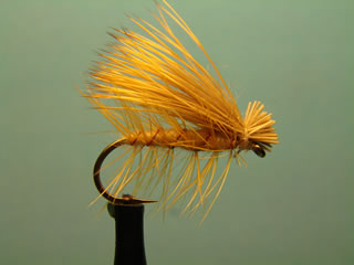 Elk Hair Caddis Light (10-18)